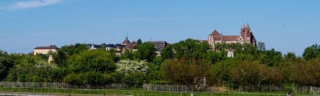 Kontraktlogistik Breisach, Lagerfläche Breisach