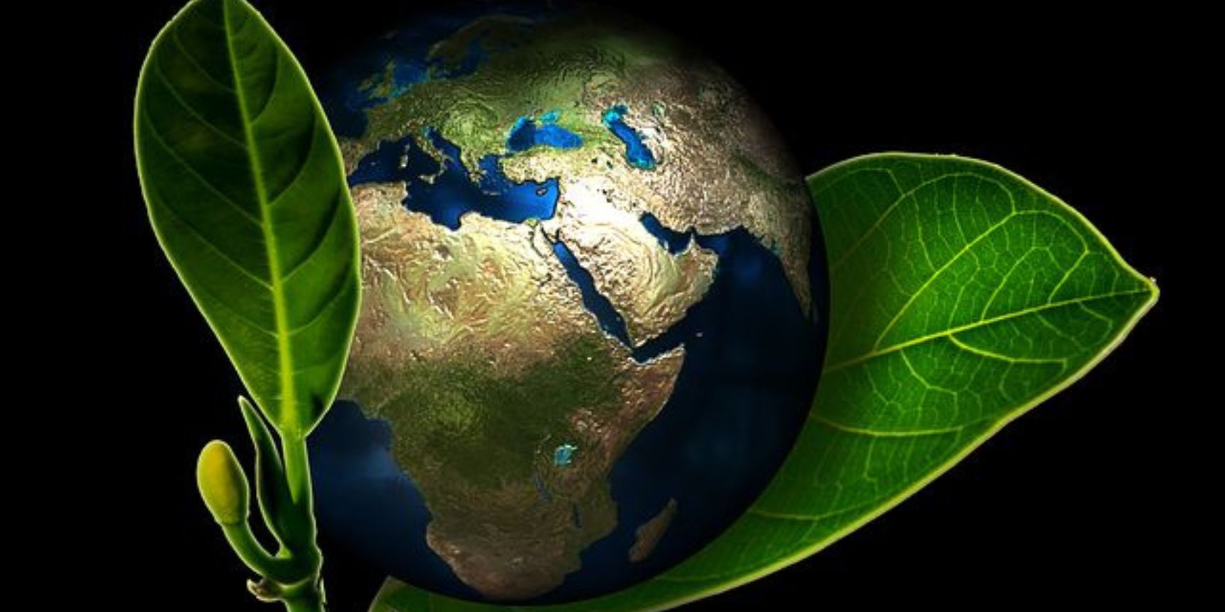Nachhaltigkeit Lagerlogistik, Grüne Lagerlogistik, Green Warehousing, Energieeffiziente Lagertechnik, Energie & Ressourcen, Energieeffizienz, CO2-Reduzierung, Ressourcenschonung, Photovoltaik, Kreislaufwirtschaft, Green Building, Soziale Nachhaltigkeit