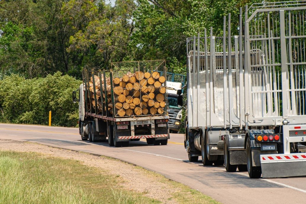 Holzlager, Lagerung Holz, Holzlagerung