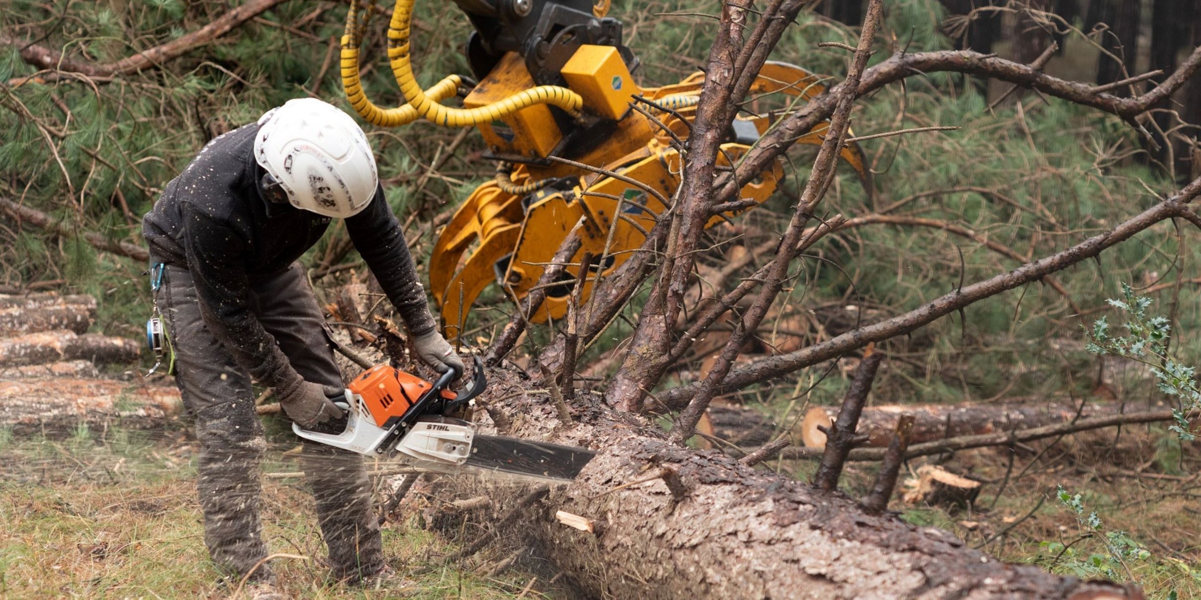 Holz, Holzlogistik, Holzlager,