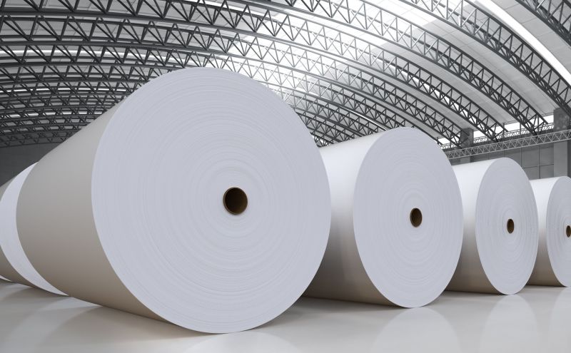 Paper logistics, Paper pulp logistics